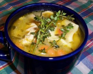 shitake chicken soup