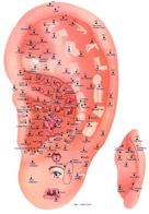 Auricular-Acupuncture-Bellingham Auricular-Acupuncture-Bellingham
