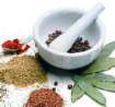 Herbs Bellingham WA Herbs Bellingham WA